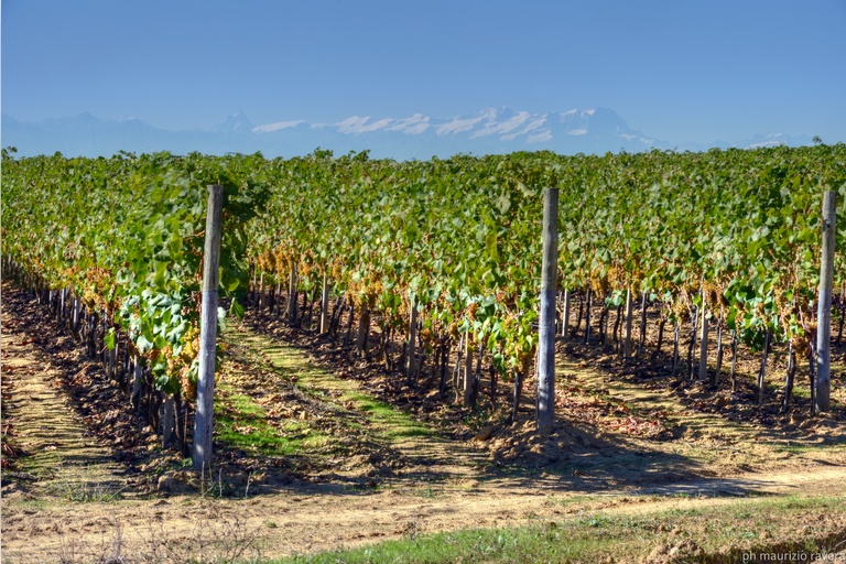 Galleria panoramica