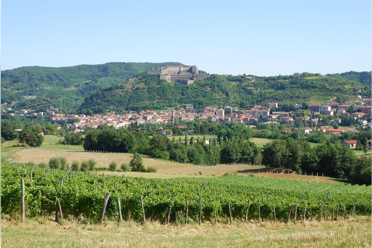 Galleria panoramica