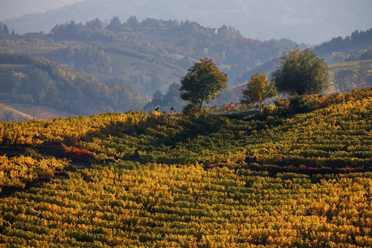 Galleria panoramica