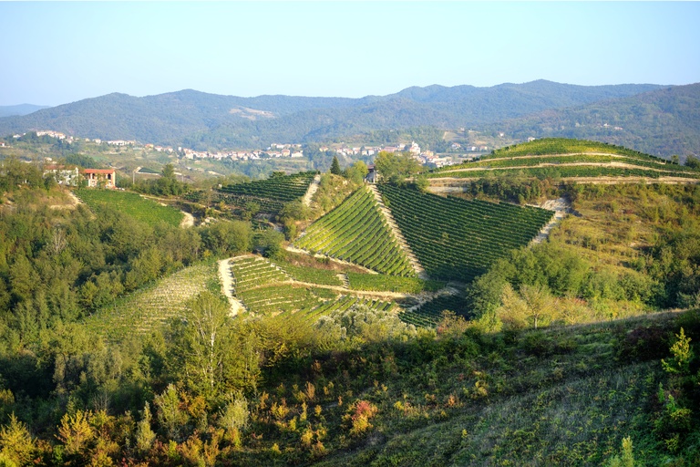 Galleria panoramica